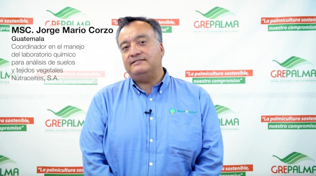 Interview with Jorge Mario Corzo - Grepalma